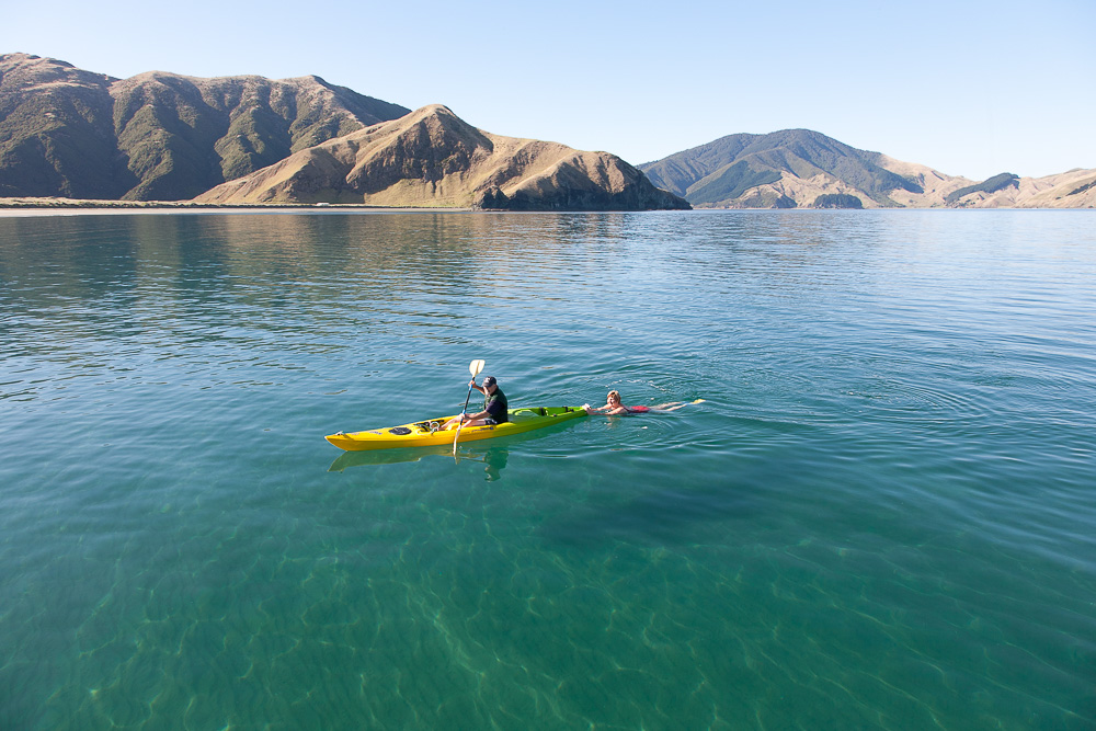 Sailing Holiday Abel Tasman Sailing Adventures