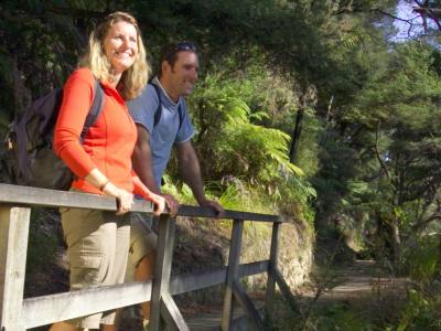 Walking Abel Tasman Landscape Anchorage Sail Seals Walk